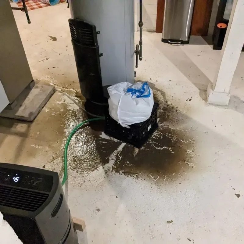 Sewage Backup Cleanup Service in Stephens County, GA